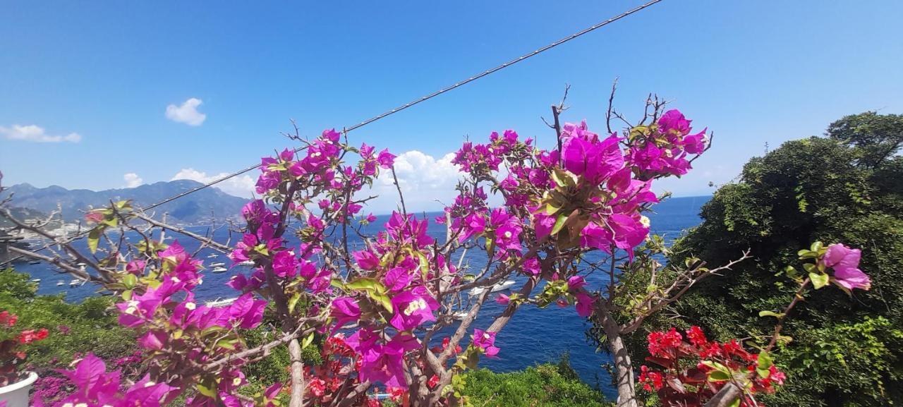 Villa Gianna Amalfi Coast Conca dei Marini Exteriér fotografie