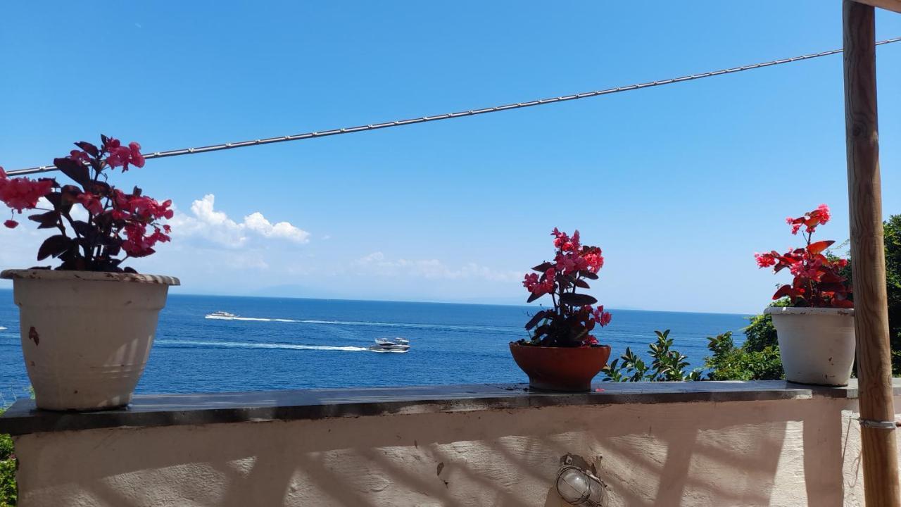 Villa Gianna Amalfi Coast Conca dei Marini Exteriér fotografie